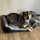 Pat-Saltea Moale si Confortabila pentru Caini/Pisici, Chris Badzi 369®, Ideal: Beagle, Bocker Spaniel, Pudel miniatural, Buldog francez, Shih tzu, Pomeranian, Boston terrier sau Basset hound, Compatibila cu Masina de Spalat la 30 grade,60x45cm
